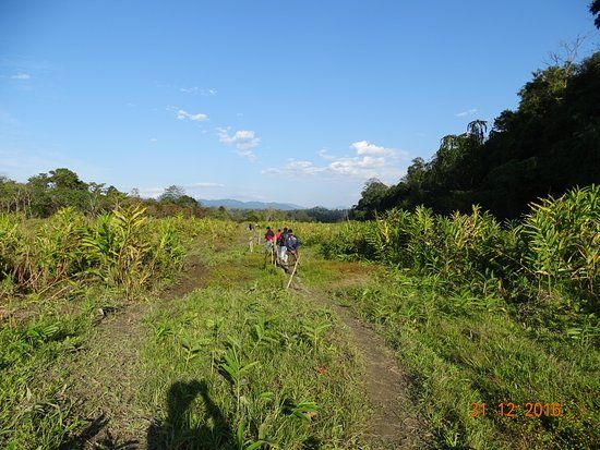 Nameri National Park